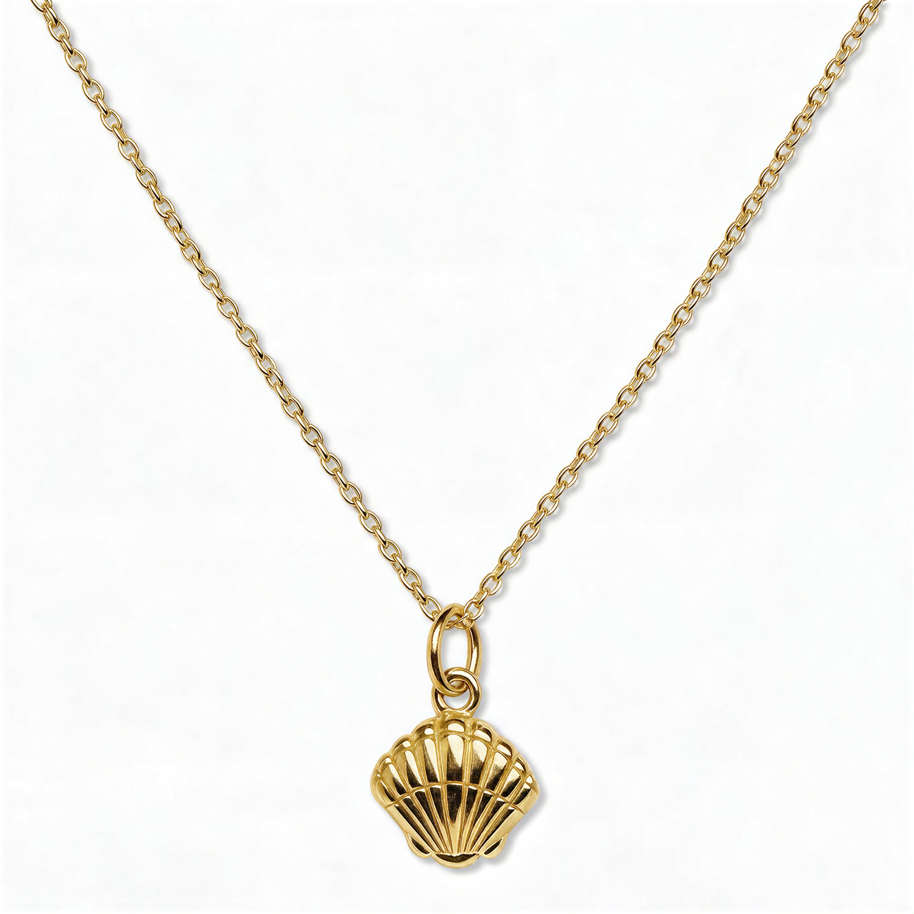 A Seashell Pendant Necklace by Skōsh Jewelry, featuring a ridged scallop seashell pendant on a fine gold chain, displayed against a white background.